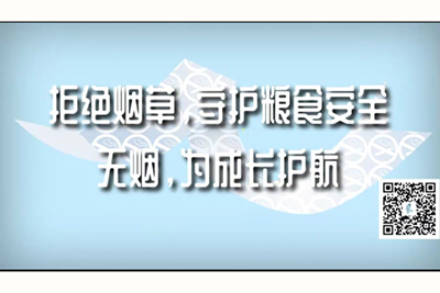 几把艹逼白浆高潮视频拒绝烟草，守护粮食安全